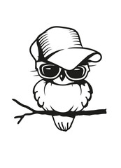 cooler Vogel auf dem Ast