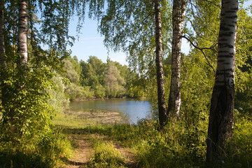 Rossiya.Sibir. Summer. pond