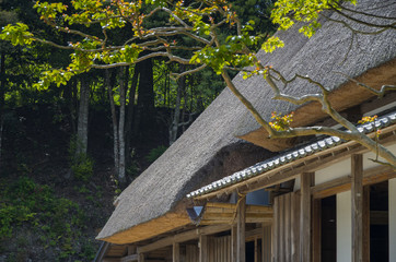 茅葺屋根の家