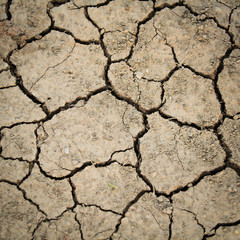 Dried cracked earth soil