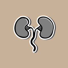 Kidney sticker drawing cartoon