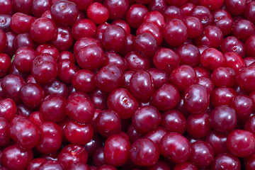 Dark red cherries