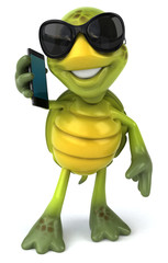 Fun turtle