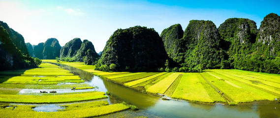 Rice field and river, NinhBinh, vietnam landscapes