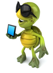Fun turtle