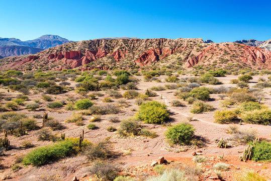 Dramatic Red Desert