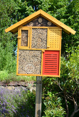 insektenhotel