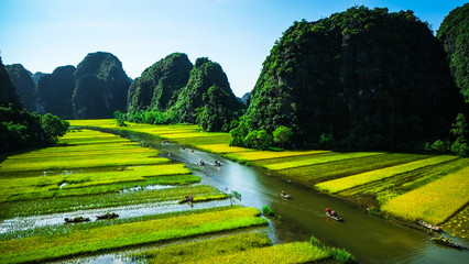 Rice field and river, NinhBinh, vietnam landscapes - obrazy, fototapety, plakaty