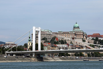 Naklejka premium Elisabeth bridge on Danube river Budapest