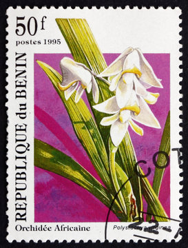 Postage stamp Benin 1995 Polystachya Virginea, Orchid