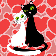 Сouple cats
