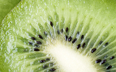 kiwi as a background
