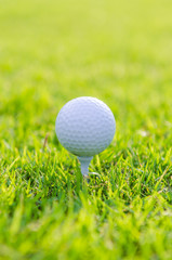 Golf ball on green grass