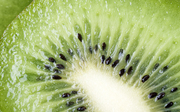 kiwi as a background