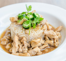 Chicken with brown sauce on rice