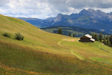 Fototapeta premium Alpe di Siusi