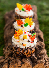 Autumn cupcake