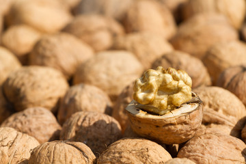 Walnuts fruit
