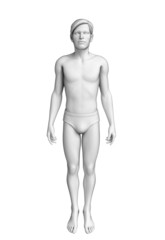 Fototapeta na wymiar Male body anatomy