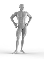 Portrait of a muscular guy