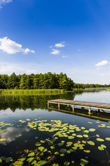 Lake Wigry National Park. Poland