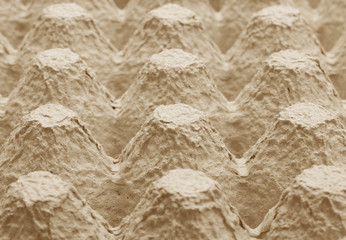 Empty egg container as background