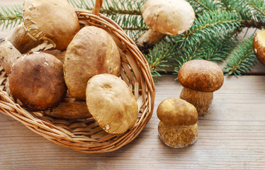 Mushrooms on wooden table