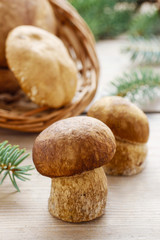 Mushrooms on wooden table