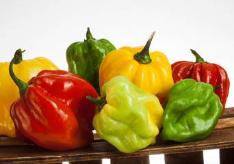 Diverse Farbige Habaneros auf einer Holz Kiste
