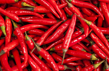 rote scharfe Chilischoten