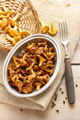 Cantharellus cibarius, commonly known as the chanterelle,