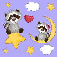 Naklejka premium Lovers Raccoons
