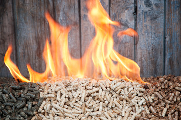 Pellets-Biomass
