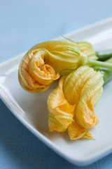 Yellow Zucchini Blossoms