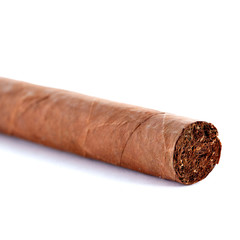 Cuban cigar