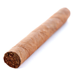 Cuban cigar