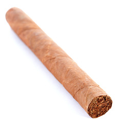 Cuban cigar
