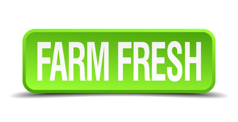 farm fresh green 3d realistic square isolated button