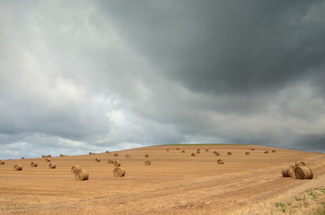 Fototapeta na wymiar pluie sur les récoltes