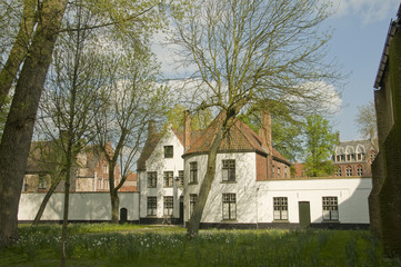 Fototapeta na wymiar Béguinage de Bruges