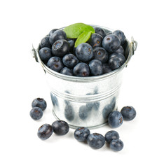 fresh blueberries in a bucket over white