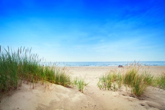 Fototapeta Spokojna plaża z wydmami i zieloną trawą. Spokojny ocean