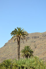 Berge in Gran Canaria