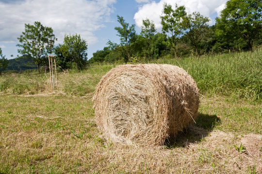 Rolling haystack.