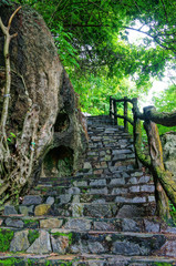 Fototapeta premium Niesamowite kamienne schody, ogrodzenie, drzewo