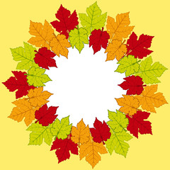 autumn leaf border background