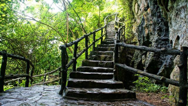 Fototapeta Niesamowite kamienne schody, ogrodzenie, drzewo