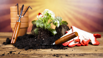 Watering Can and Gardening Gloves