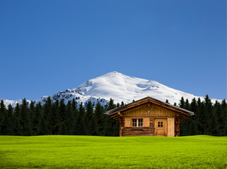 Obraz premium Almhütte am Waldrand
