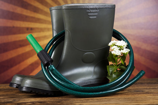 Watering Can and Gardening Gloves